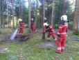 Feuer im Wald