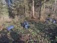 Illegale Abfallentsorgung im Wald